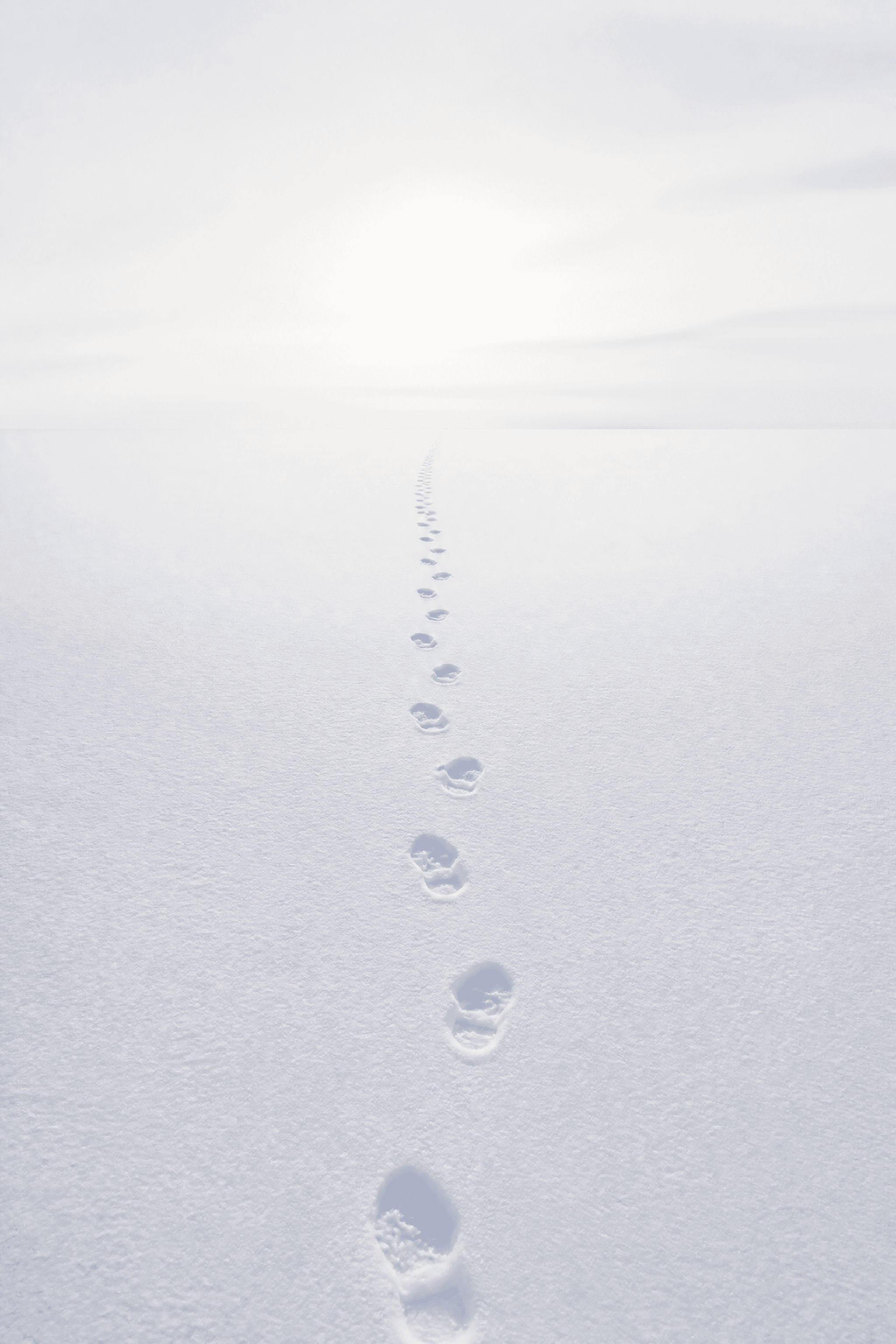 Affiche Traces dans la Neige — minimalisme hivernal solitaire