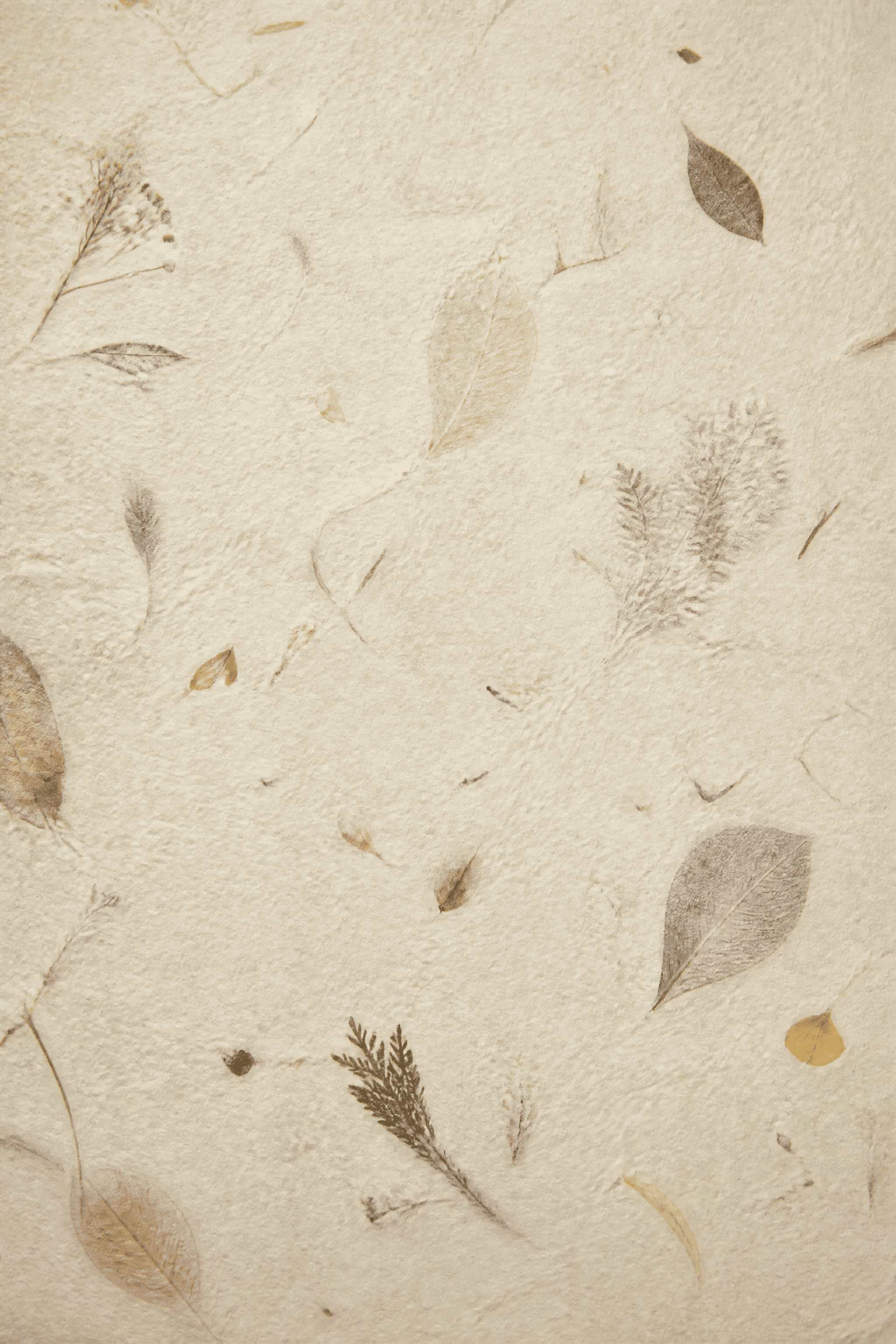 Affiche Papier Washi — étude de matière et inclusions botaniques