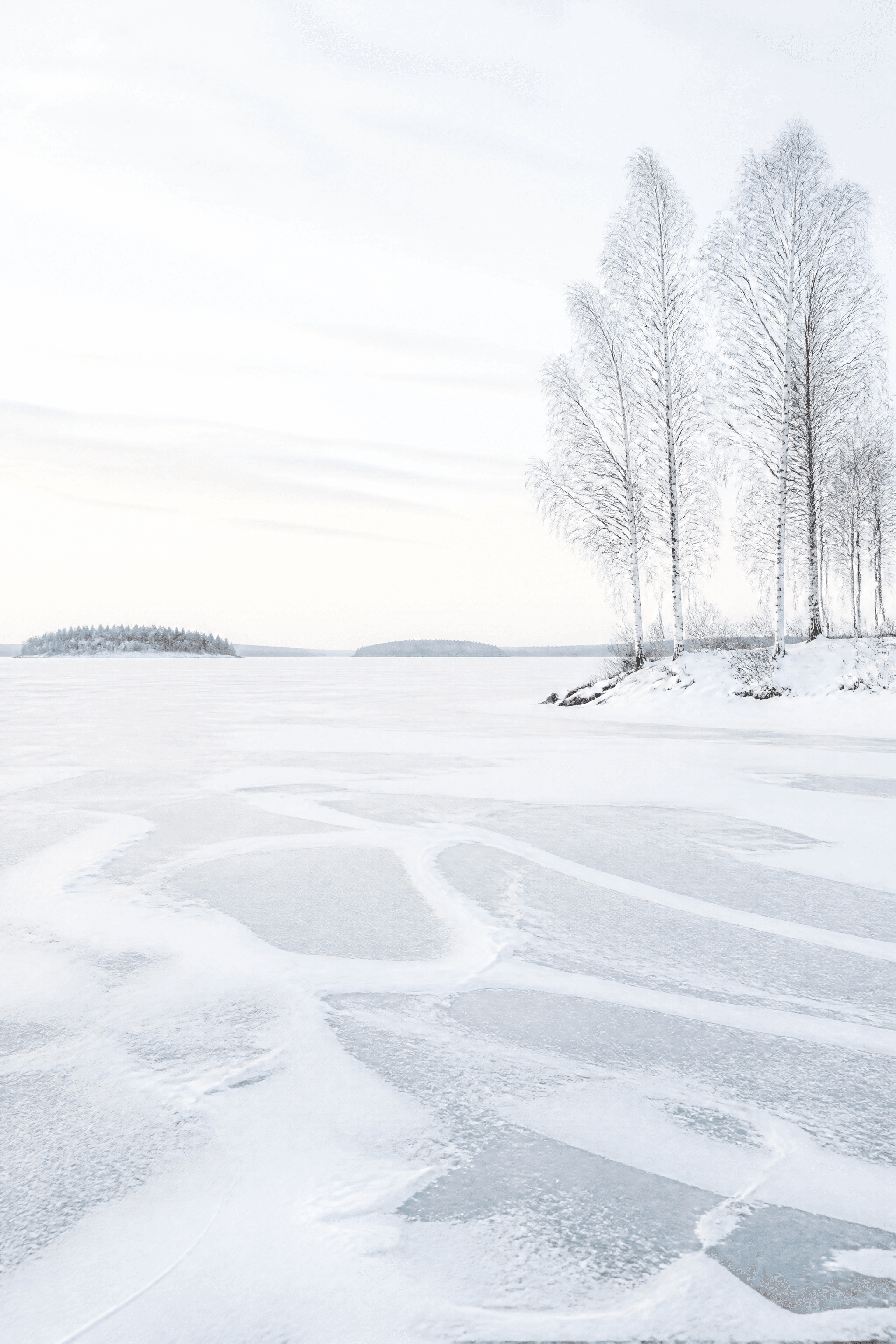 Affiche Lac Finlandais Gelé — silhouettes de bouleaux en hiver