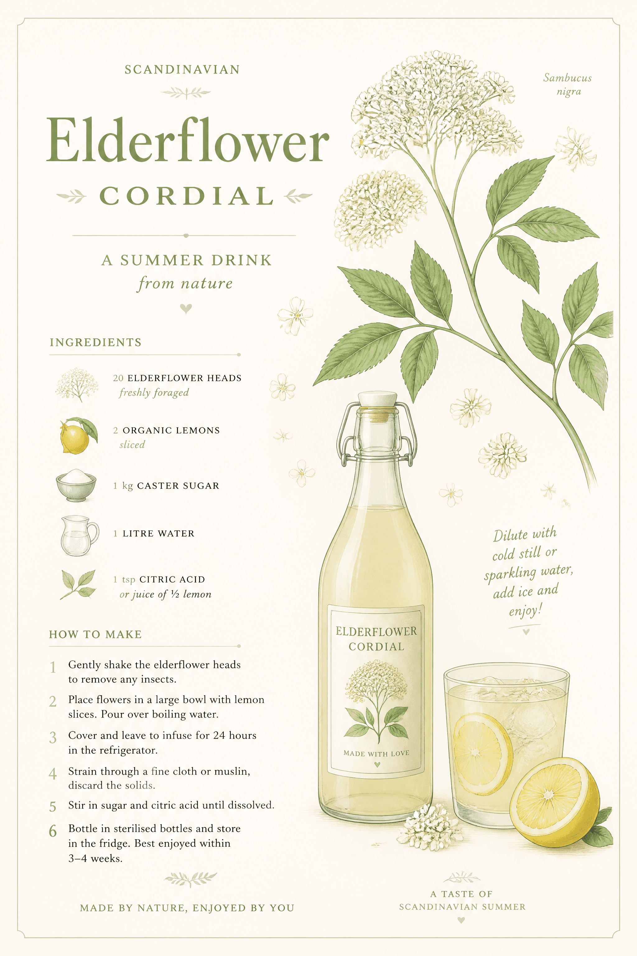 Affiche Recette Sirop de Sureau — boisson estivale nordique botanique